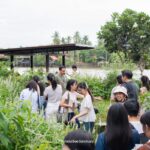 ผู้เข้าร่วมกิจกรรมเดินสำรวจพรรณไม้และระบบนิเวศภายใน Somdul Bee Sanctuary