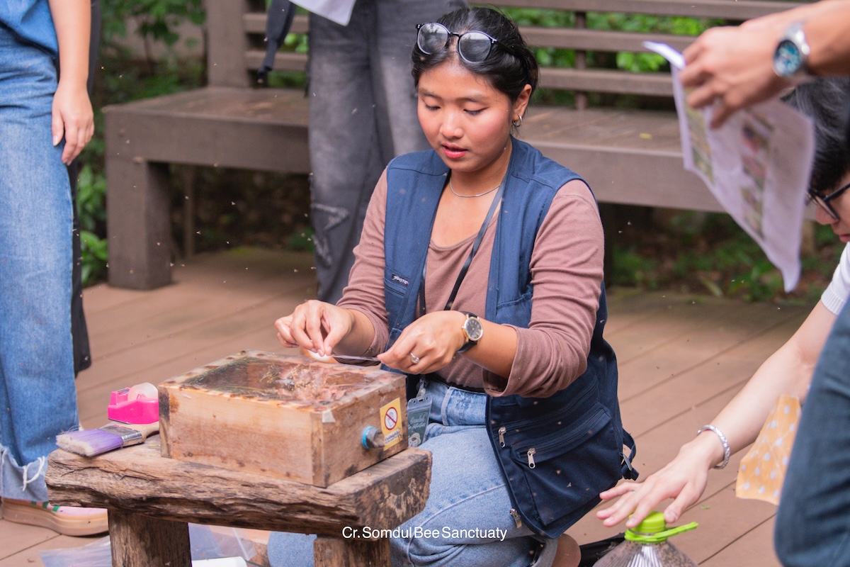 กิจกรรมศึกษาธรรมชาติและความหลากหลายทางชีวภาพ Somdul Bee Sanctuary สมุทรสงคราม